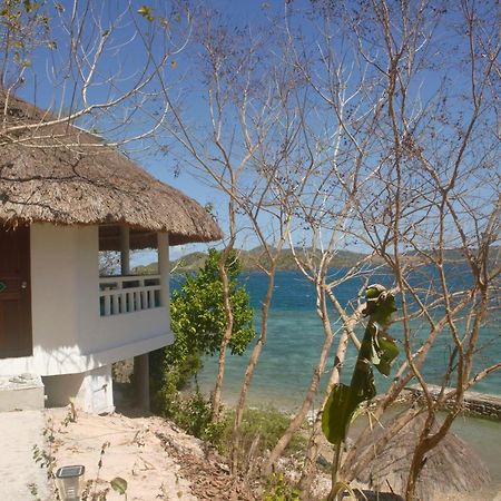 Iris Island Eco Resort Busuanga Buitenkant foto