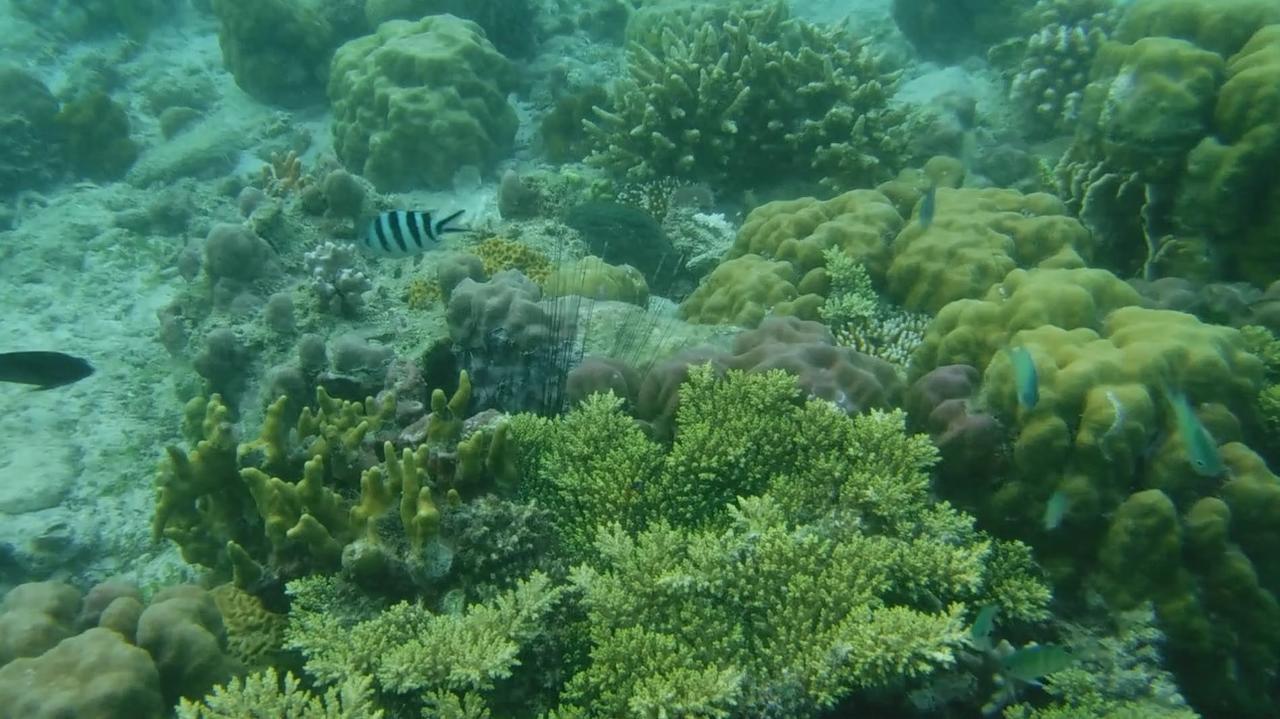 Iris Island Eco Resort Busuanga Buitenkant foto